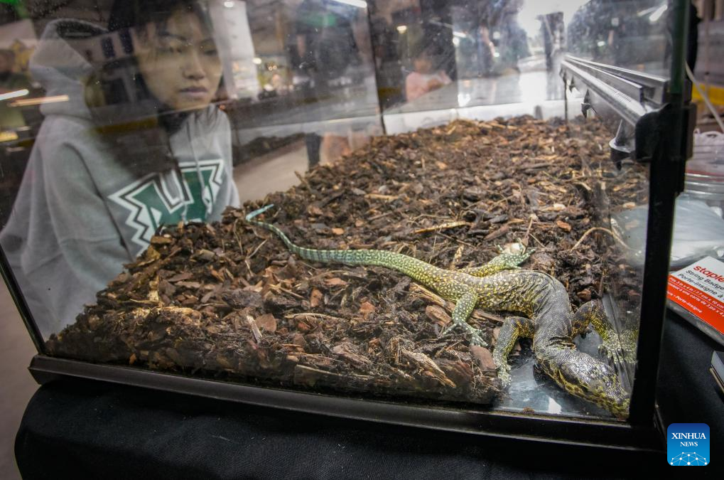 2024 Vancouver Reptile Expo held in CanadaXinhua