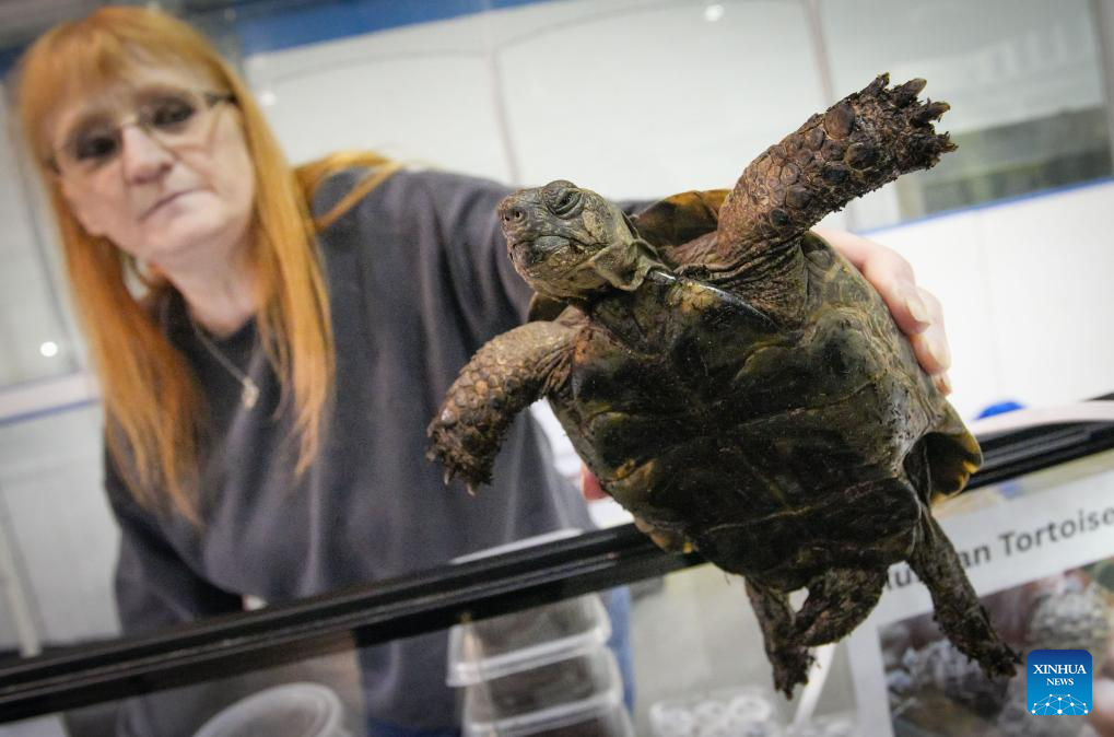 2024 Vancouver Reptile Expo held in CanadaXinhua