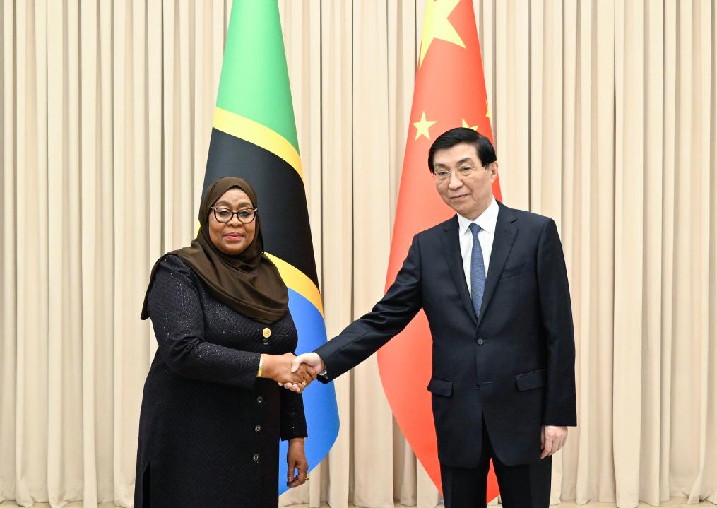 FOCAC China S Top Political Advisor Meets Tanzanian President Xinhua