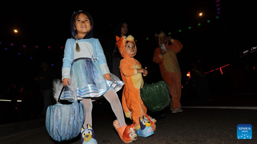 Halloween Carnival 2024 held in Los Angeles County, U.S.Xinhua