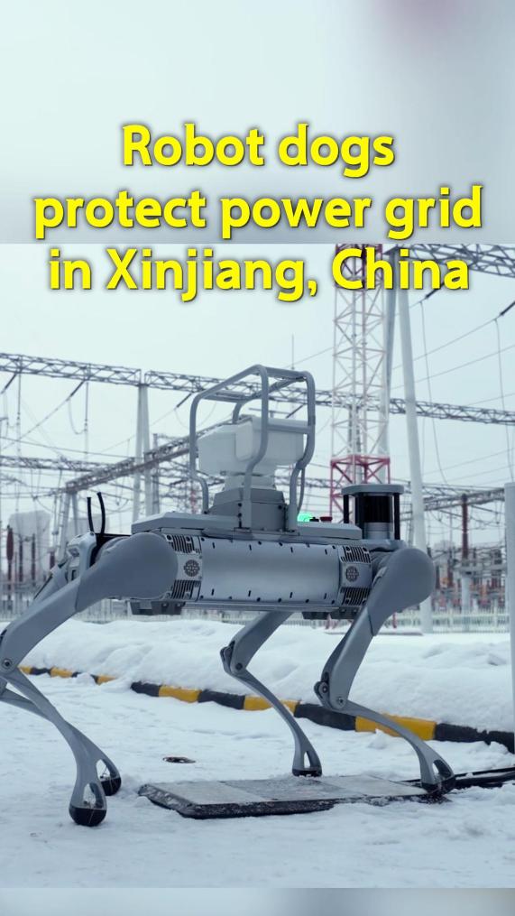 Robot dogs protect power grid in Xinjiang, China