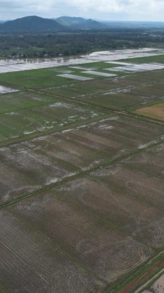 Chinese-built irrigation project helps boost Kenyan agriculture