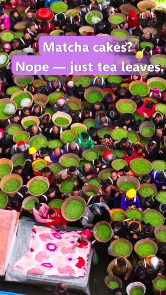 Early spring tea market bustles in SW China