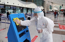 Turkish airline companies partially resume domestic operations