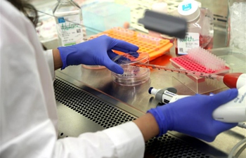 Interview: Innovation cooperation between Israel, China has bright prospect